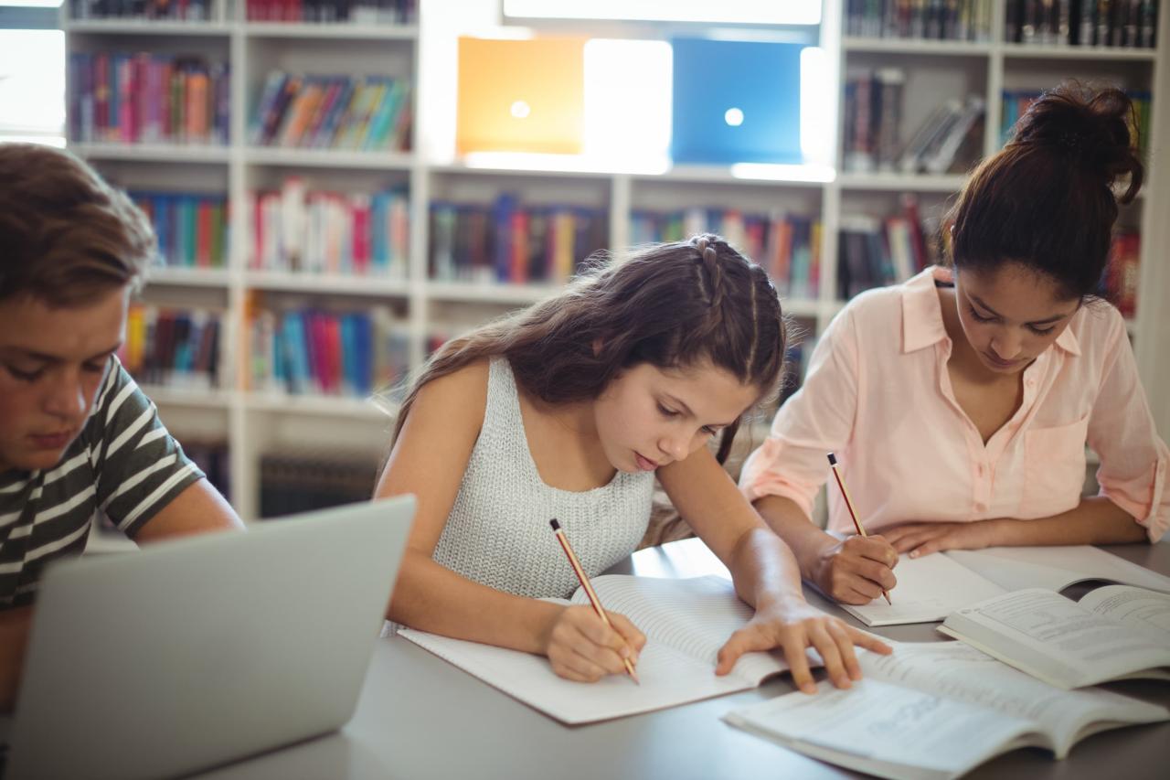 schüler:innen lernen