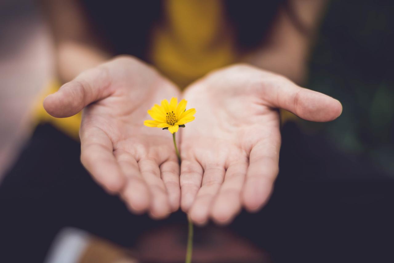 hand mit gelber blume