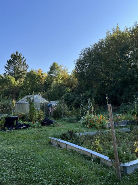 Bild_Allhartsberg