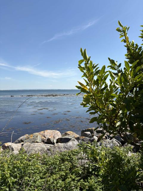 Irlandfoto2