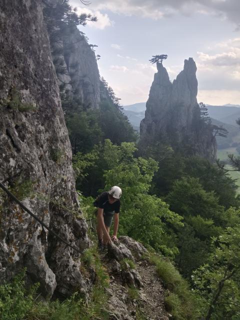 Bild 12