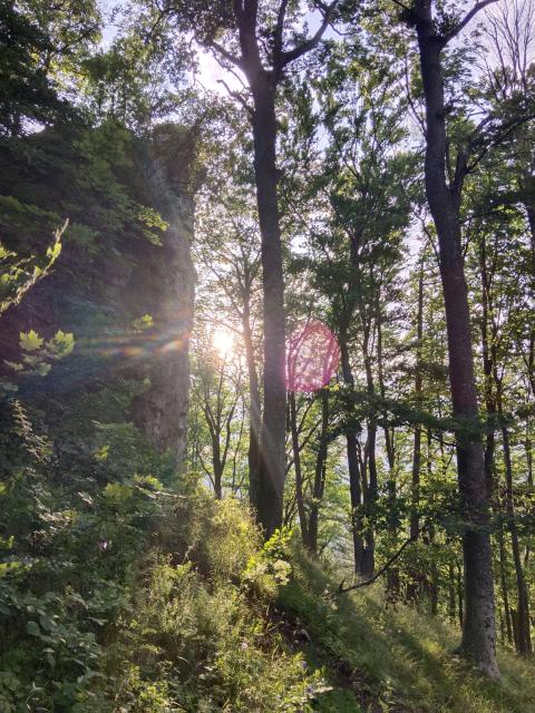 Bild 14