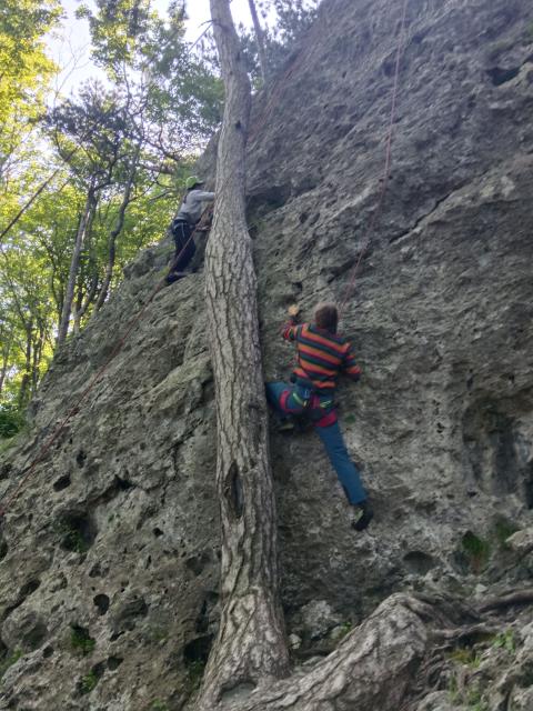 Bild 16