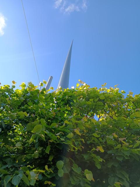 Irlandfoto4