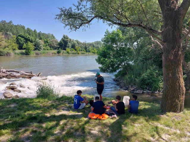 Bild 14