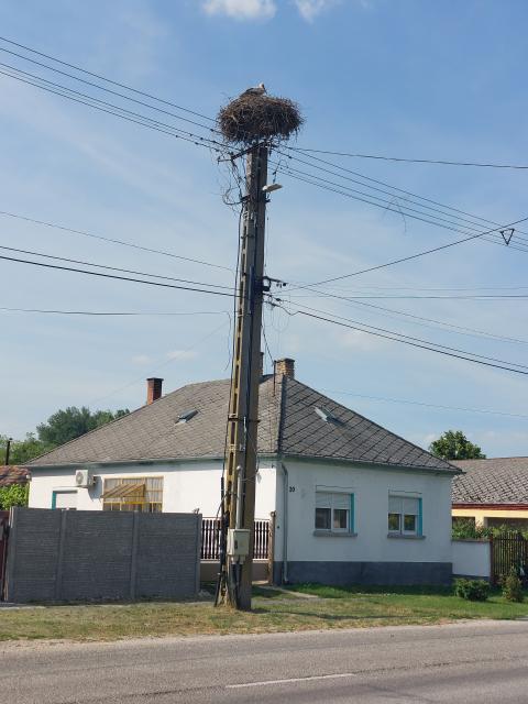 Bild 24