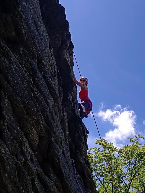 Bild 18