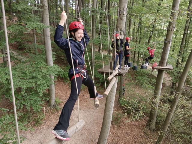Bild 13