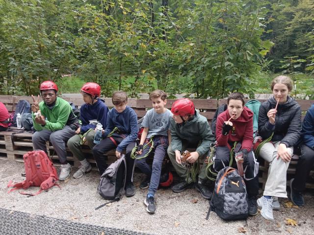 Bild 15