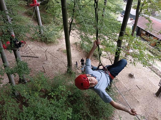 Bild 17