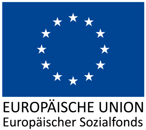 europaeische solzialfonds