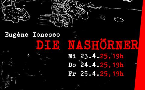 Nashörner Plakat